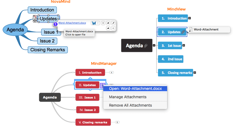 Mind mapping Software View Attachment