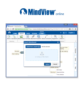 MindView