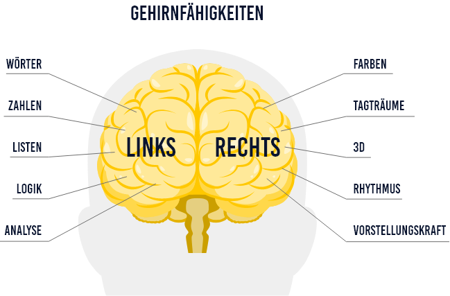 Die natürliche Architektur des Gehirns und Mindmaps