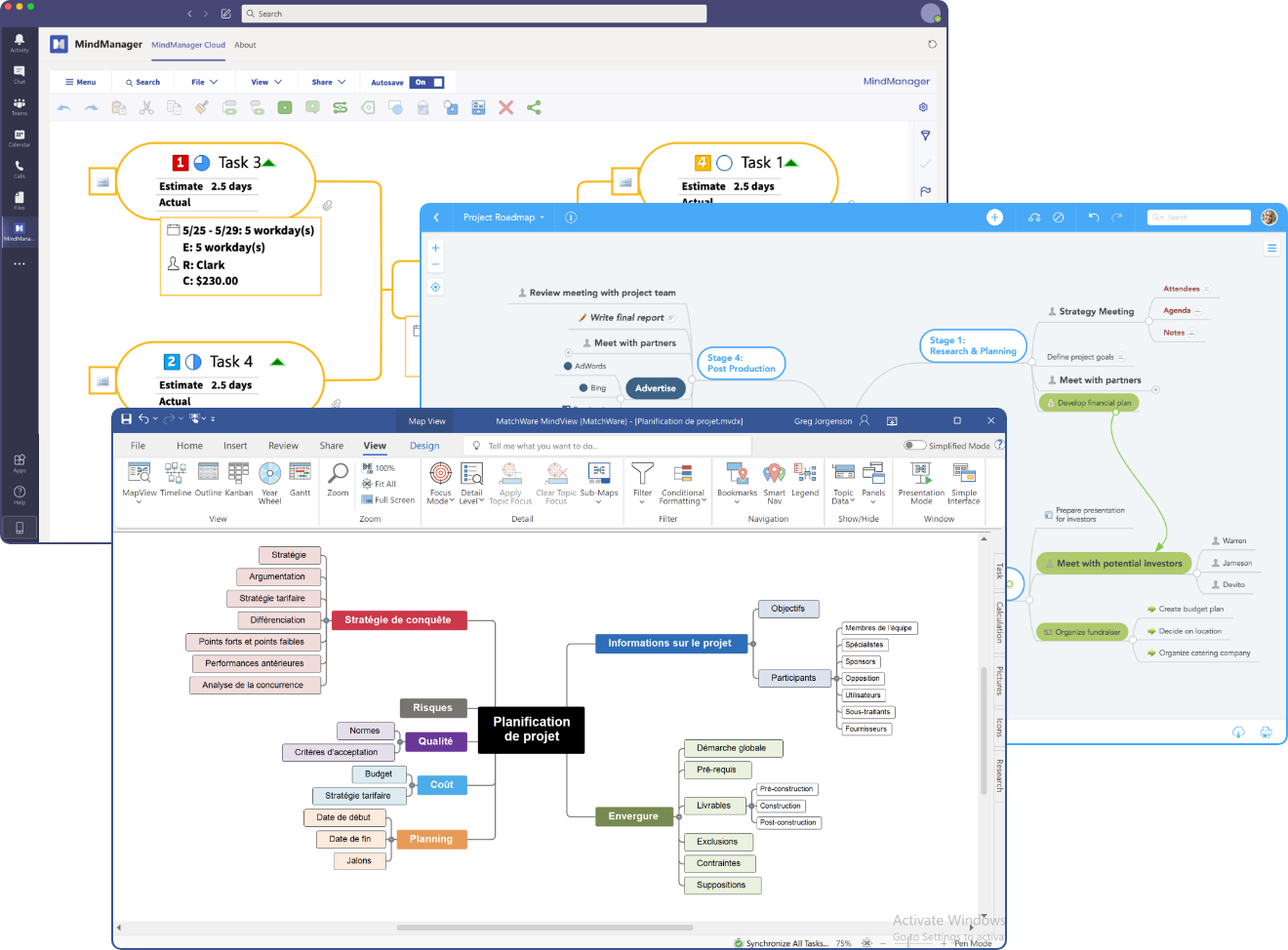 Logiciel de mind mapping commercial
